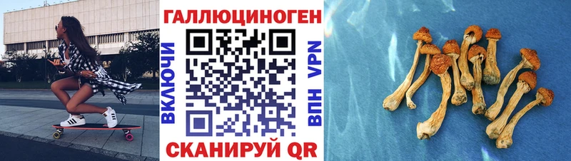 Псилоцибиновые грибы мухоморы  kraken сайт  Верхний Уфалей 